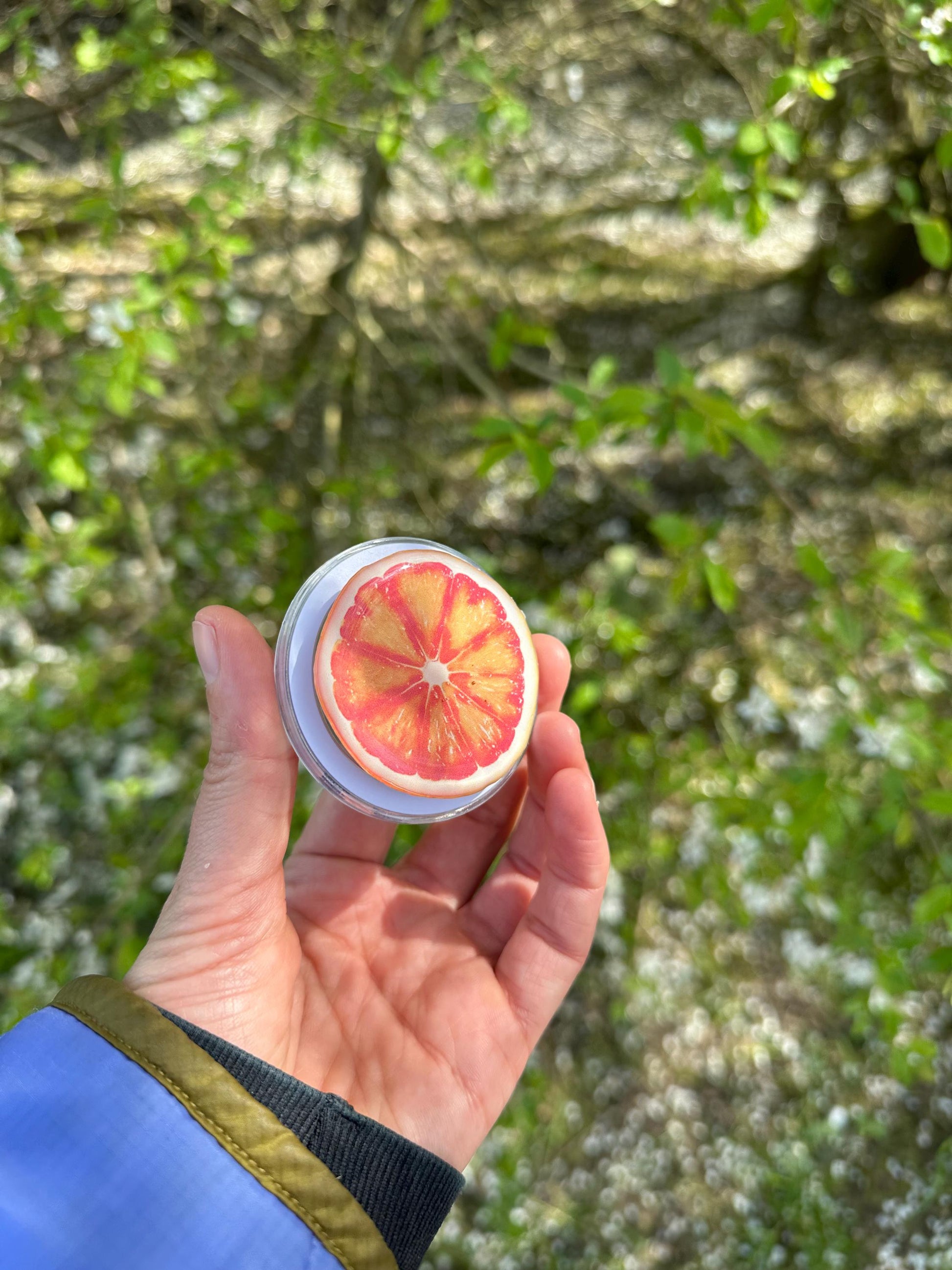 Orange Fruit Phone Grip – Cute Aesthetic Phone Holder for iPhone & Android | Fruit Stand | Fun Phone Accessory | Gift for Fruit Lovers