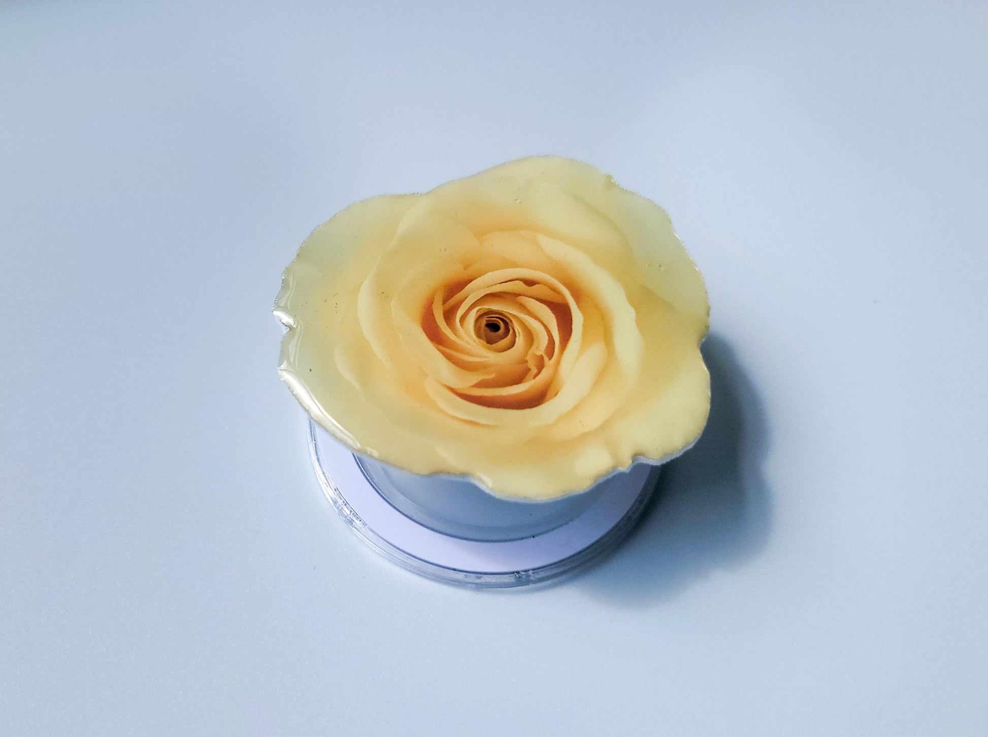 Yellow Rose Magnetic Phone Grip